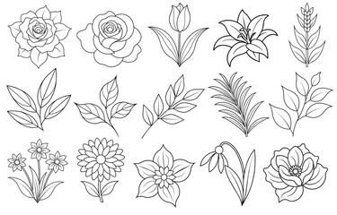 Collection of flower and leaf elements for design for invitation, greeting card, quote, blog, poster.