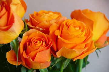 オレンジ色のバラ