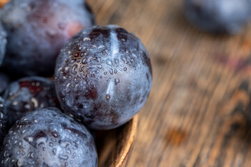 Wet purple plum on the table, fresh harvest