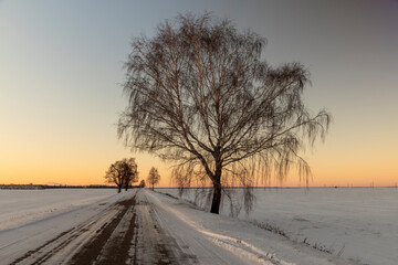 a slippery and dangerous road covered with snow and ice at sunset