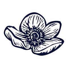 Handmade blockprint flower vector motif clipart in folkart scandi style. Simple monochrome linocut floral shapes with naive rural lineart.