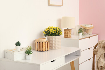Pot with beautiful chrysanthemum flowers and houseplants on desk in living room