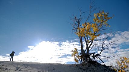 Silhouette of a photographer in the sand dune with blue sky and autumn leaf colour