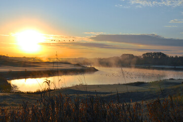 Sunrise in the golf course with migration bird