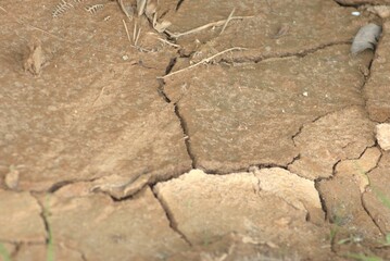 dry, texture, cracked, soil, drought, earth, crack, ground, nature, land, pattern, desert, brown, surface, abstract, mud, dirt, stone, arid, clay, wall, textured, cracks, rock, old
