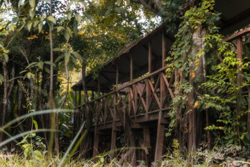 wooden bridge Alto Mayo San Mart&iacute;n Per&uacute;
