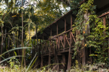 wooden bridge