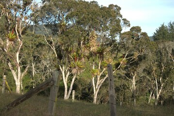 leaf, nature, plant, garden, leaves, macro, summer, spring, water, flower, rain, tree, fern, growth, green, closeup, flora, close-up, insect, grass, drop, dew, branch, fresh, season
