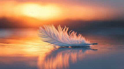 A single feather from an angels wing gently floating in the breeze reflecting the warm hues of the setting sun.