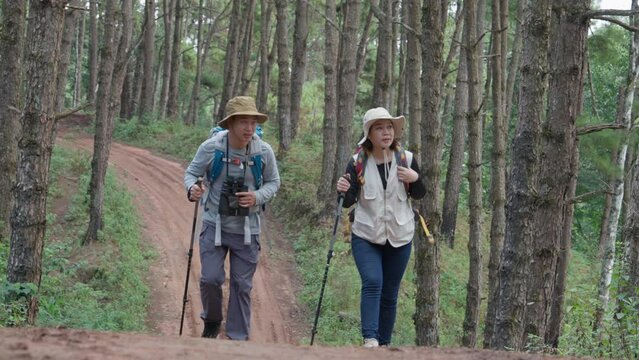 Asian couple walk dirt road in trekking sticks and happy with using binoculars in forest for relax, fitness and peace. Love, calm and health with man and woman walking in nature for travel vacation.