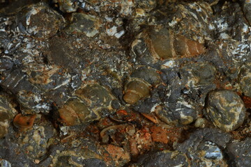 Fossil Shell Beach or Fossil Shell Beach (literally Seashell Graveyard) is located at Ban Laem Pho...
