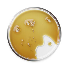 Petri dish with color liquid sample isolated on white, top view