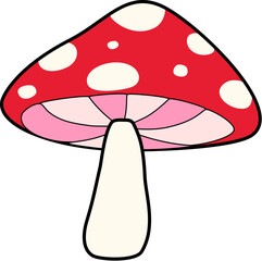 Fly agaric mushroom
