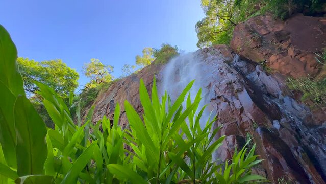 Tropical waterfall spraying water on the plants. Low angle view behind foliages swinging with the water and wind action. 4K. Brazil.  