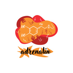 Structural chemical formula of adrenaline hormone on white background