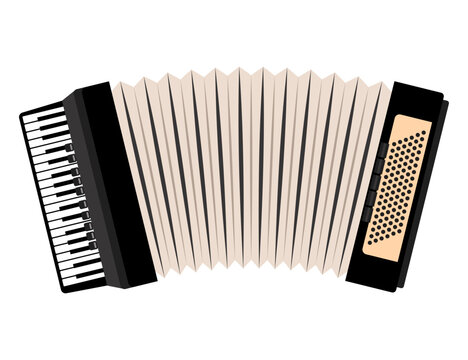 Drawn accordion on white background