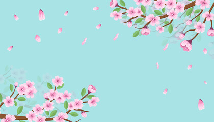 floral background with cherry blossom in full bloom