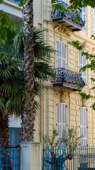 Fototapeta na wymiar Residential facade and palm trees in summer, Nice, France
