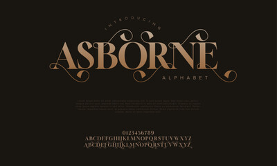 Fototapeta na wymiar Asborne premium luxury elegant alphabet letters and numbers. Elegant wedding typography classic serif font decorative vintage retro. Creative vector illustration