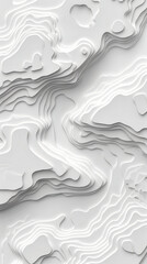 white contour map topview