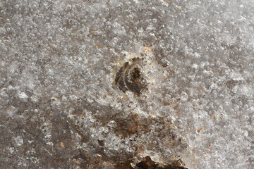 Close Up of Rock Frozen Under Ice, Barker Meadow Reservoir, Nederland, Colorado
