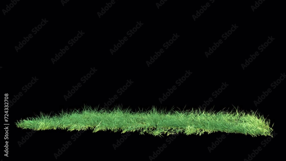 Wall mural grass wind noise loop on alpha channel. element footage place on footage or background and easier to