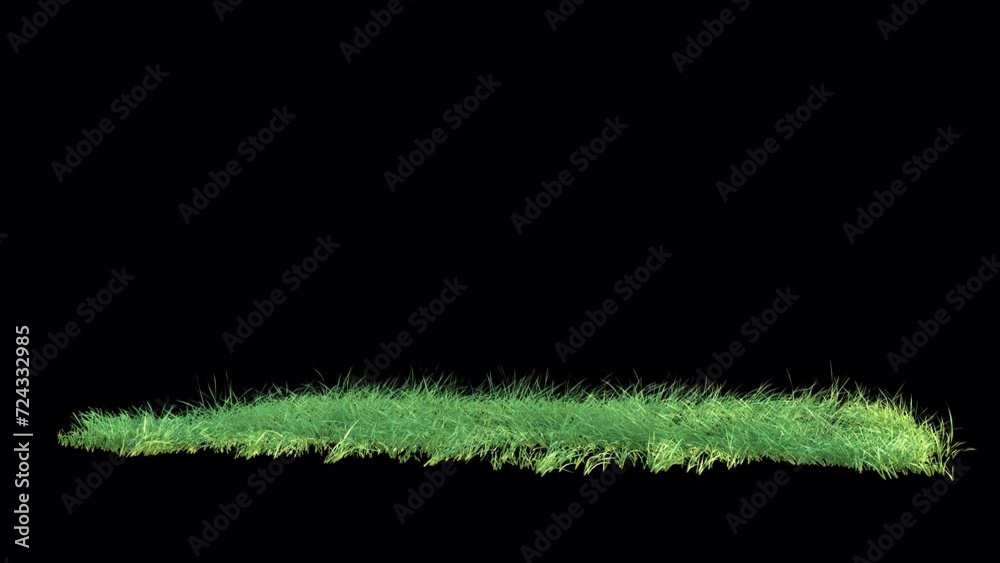 Wall mural grass wind noise loop on alpha channel. element footage place on footage or background and easier to