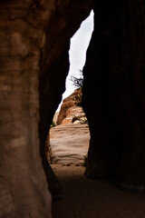 crack in the rocks of the ancient city of Hegra.