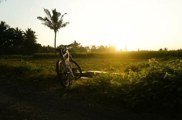 A mountain bike standing near rice field against sunrise.