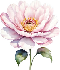 Obraz premium Watercolor painting of a cute pastel flower.