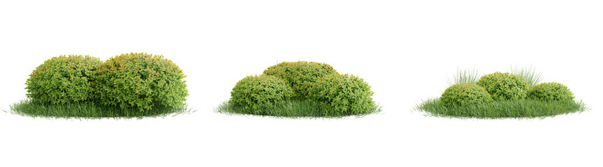 Obraz premium Collection green grass and plant on transparent background.3d rendering png