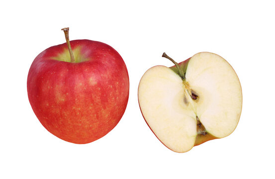 リンゴ（ジョナゴールド）