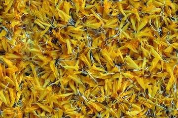 seamless flower petals texture background