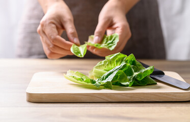 Organic cos romaine lettuce, Food ingredient for healthy salad
