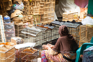 old woman bird cage seller at animal market - obrazy, fototapety, plakaty