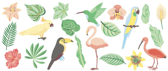 vector drawing set of tropical birds, green palm leaves and flowers, hand drawn flamingo, isolated nature design element