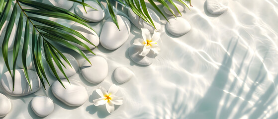 Transparent water surface with tropical green leaf and white stones, sunlight reflection, beauty backdrop, spa and wellness, copy space, mock up, top view.