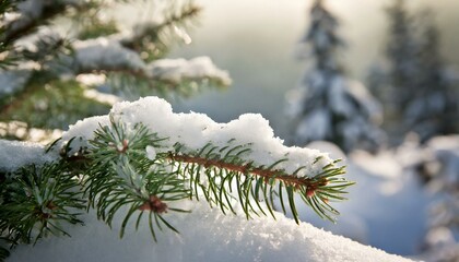 Fir Branch with Snow