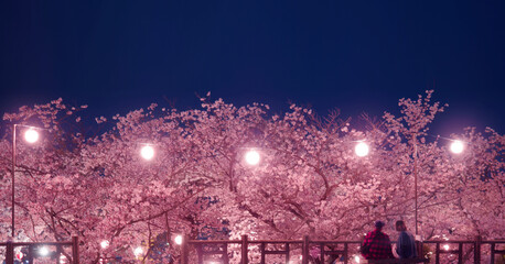 満開の夜桜