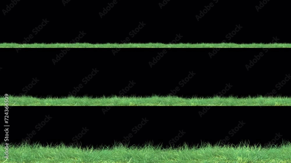 Wall mural grass wind noise loop on alpha channel. element footage place on footage or background and easier to