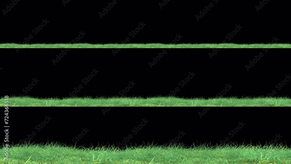 Wall mural grass wind noise loop on alpha channel. element footage place on footage or background and easier to
