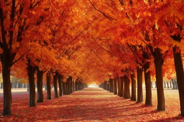 Deurstickers Beautiful autumnal alley in the park, closeup of photo © Quan