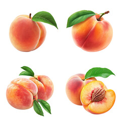 Group Peach Isolate on transparent background