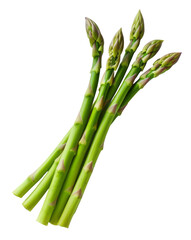Fototapeta premium asparagus isolated on white background