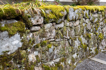 Mossy stone wall in Sanzen-in temple in Kyoto, Japan