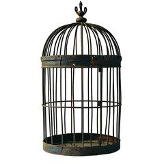 simple bold Birdcage, isolated PNG object