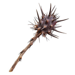 Spike, isolated PNG object
