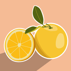 illustration of an orange fruit