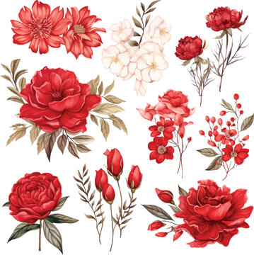 Watercolor flowers set burgundy peonies, pink peonies. Hand-painted abstract botanical illustrations bundle. Isolated on white flowers for wedding stationery, card printing, banners