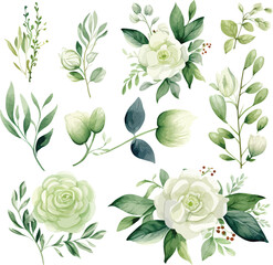 Watercolour floral illustration set. DIY green flower, green leaves individual elements collection - for bouquets, wreaths, wedding invitations, anniversary, birthday, postcards, greetings.